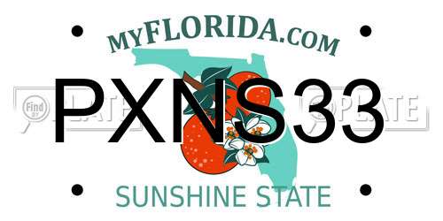 PXNS33 Florida License Plate