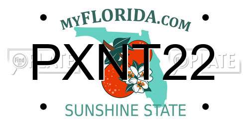 PXNT22 Florida License Plate