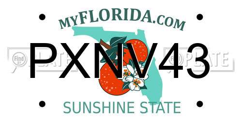 PXNV43 Florida License Plate