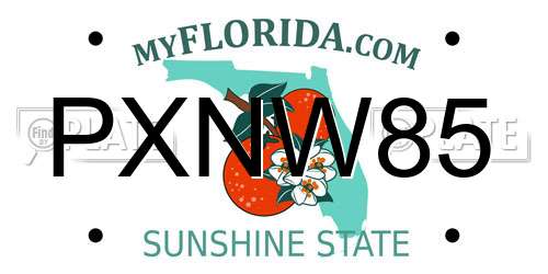 PXNW85 Florida License Plate