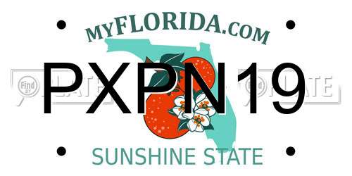 PXPN19 Florida License Plate