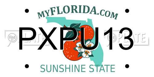 PXPU13 Florida License Plate