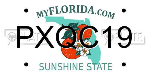 PXQC19 Florida License Plate