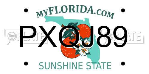 PXQJ89 Florida License Plate