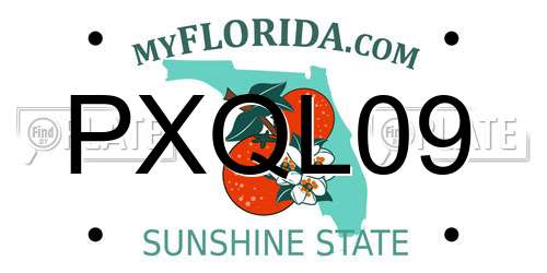 PXQL09 Florida License Plate
