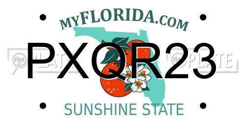PXQR23 Florida License Plate