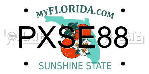 PXSE88 Florida License Plate