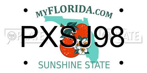 PXSJ98 Florida License Plate