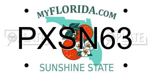 PXSN63 Florida License Plate