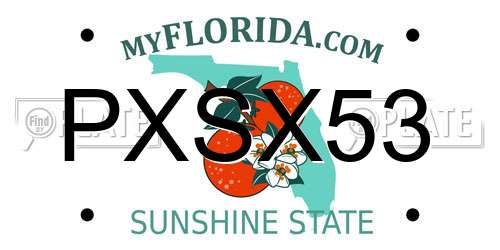 PXSX53 Florida License Plate