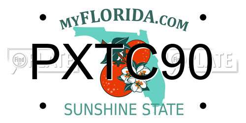 PXTC90 Florida License Plate