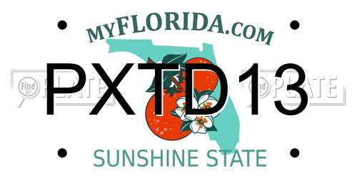 PXTD13 Florida License Plate