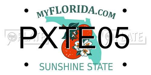PXTE05 Florida License Plate