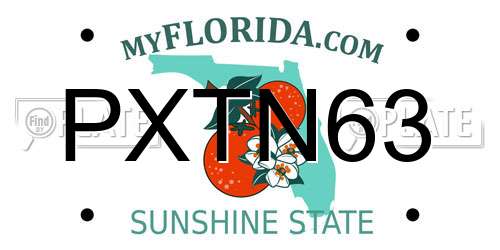 PXTN63 Florida License Plate