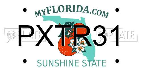 PXTR31 Florida License Plate