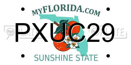 PXUC29 Florida License Plate