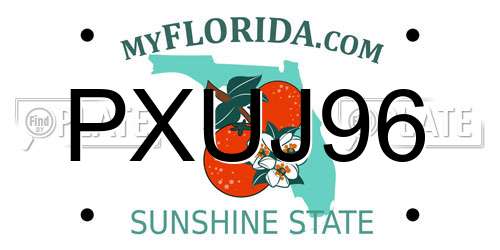 PXUJ96 Florida License Plate
