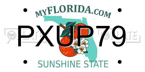 PXUP79 Florida License Plate