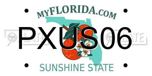PXUS06 Florida License Plate