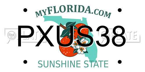 PXUS38 Florida License Plate
