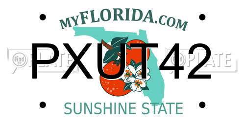 PXUT42 Florida License Plate