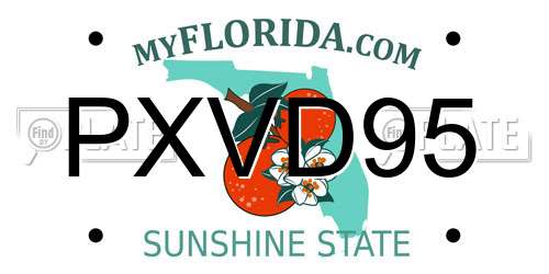 PXVD95 Florida License Plate