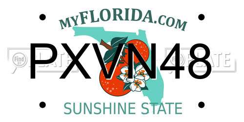 PXVN48 Florida License Plate