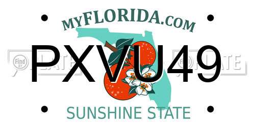 PXVU49 Florida License Plate