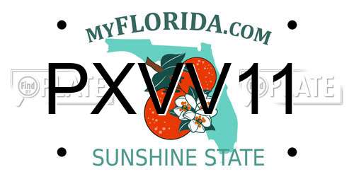 PXVV11 Florida License Plate
