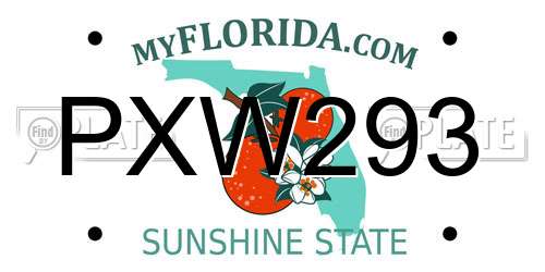 PXW293 Florida License Plate