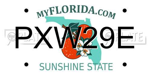 PXW29E Florida License Plate