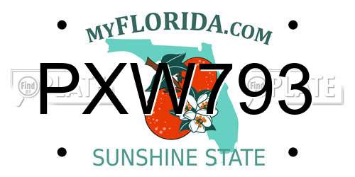 PXW793 Florida License Plate