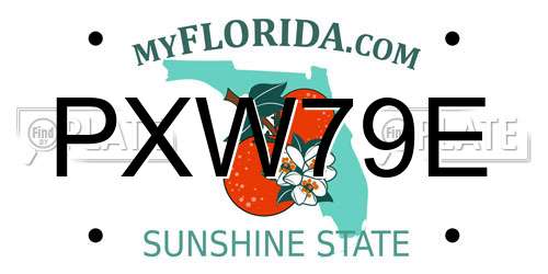 PXW79E Florida License Plate