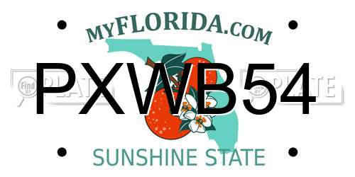 PXWB54 Florida License Plate