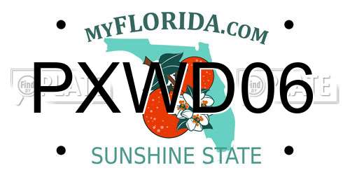PXWD06 Florida License Plate