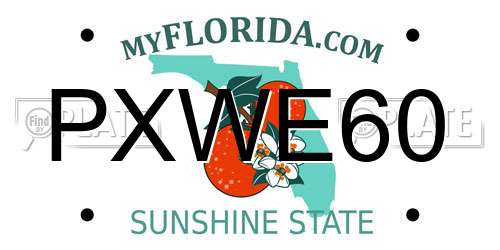 PXWE60 Florida License Plate