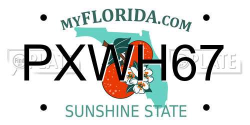 PXWH67 Florida License Plate