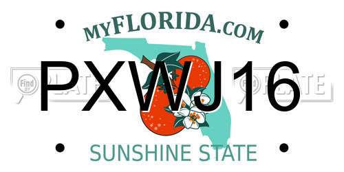 PXWJ16 Florida License Plate
