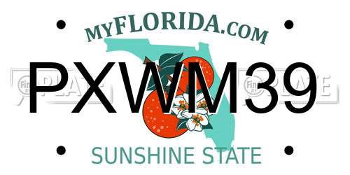PXWM39 Florida License Plate