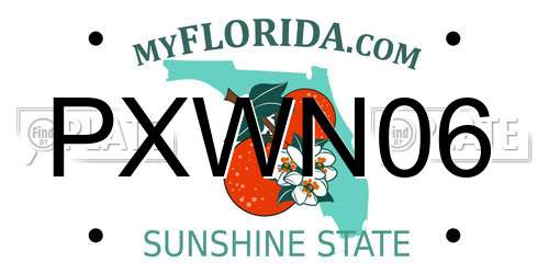 PXWN06 Florida License Plate