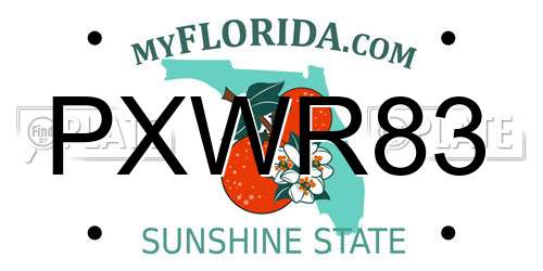 PXWR83 Florida License Plate
