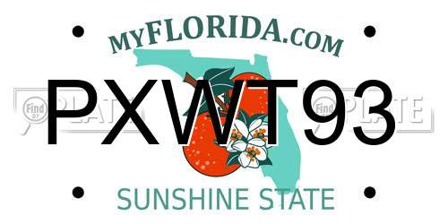 PXWT93 Florida License Plate