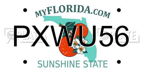 PXWU56 Florida License Plate