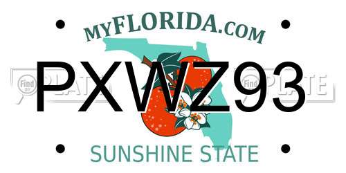 PXWZ93 Florida License Plate
