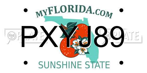 PXYJ89 Florida License Plate