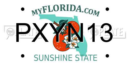 PXYN13 Florida License Plate