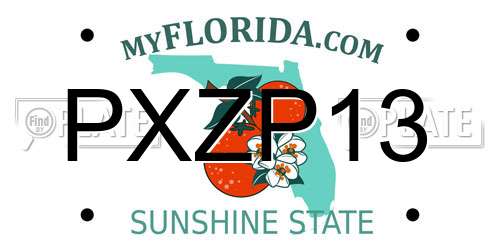 PXZP13 Florida License Plate