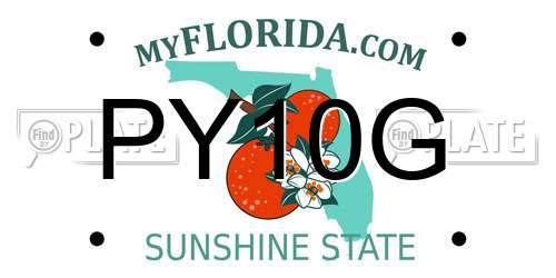 PY10G Florida License Plate