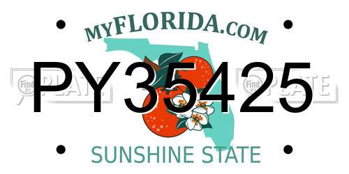 PY35425 Florida License Plate