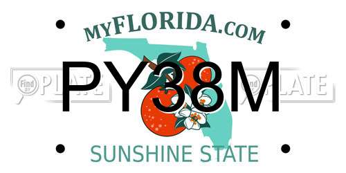 PY38M Florida License Plate